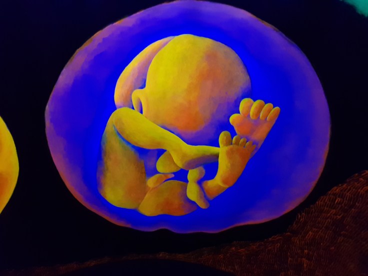 20171007_181747_mr1507579736264